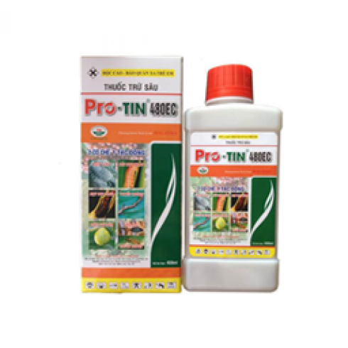 Thuốc diệt gián